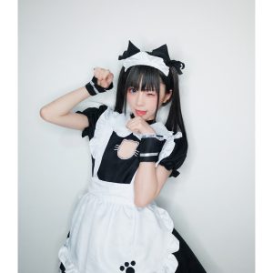 Cat maid outfit