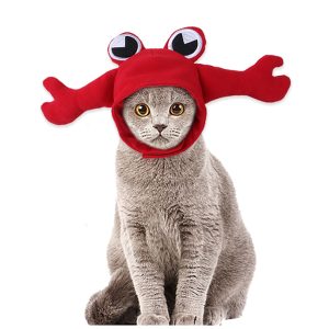 Pet Whimsical Lobster Decorated Hat Cat
