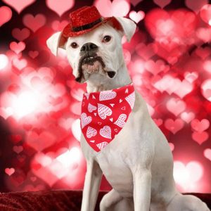 Pet Saliva Towel, Cat And Dog Scarf, Love Triangle Scarf