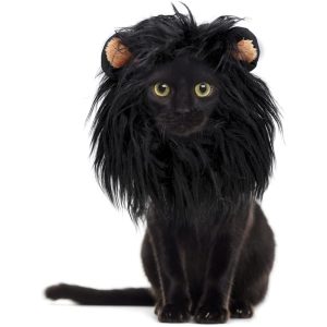 Headgear Wig Hat Dog Cat Headgear