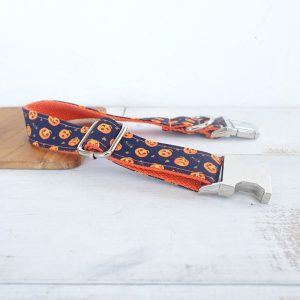 Cat Accessory set Halloween with bow