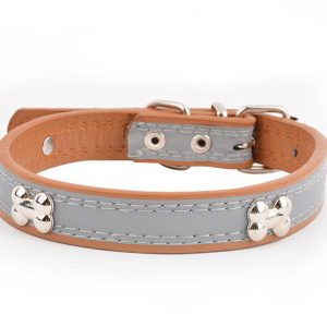 Reflective Three Bone Collar Pet Leash