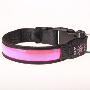 Rechargeable Luminous Pet Collar Golden Retriever Teddy Collar