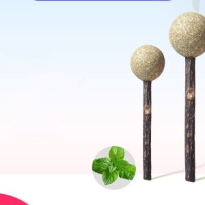 Rolling Toy Cat Mint Ball Lollipop Toy