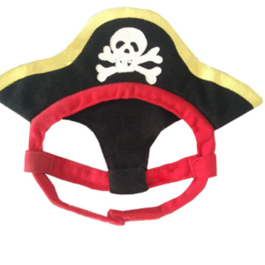 Cat Costume Teddy Pirate Transformed Into