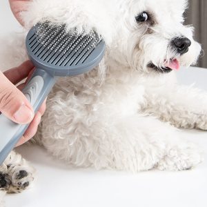 Pet Slicker Grooming Brush Comb For Cats Small Middle Sized Must Buy in Fur Shedding Season Easy Clean