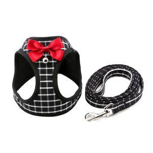 Cat Chain Traction Rope Set, Chest Harness, Cat Harness, Cat Collar, Leash