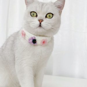 Pet Knitted Wool Felt Daisy Flower Bee Pumpkin Fruit Strap Cute Cat Collar Foreign Trade Customization
