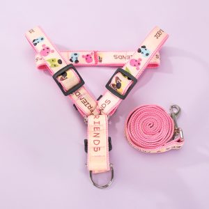 Wear-Resistant Cat Leash for Small and Medium Cats