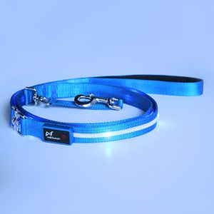 Cat Harness LED USB Charging Luminous Leash