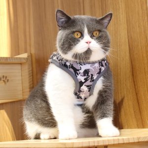 Reflective And Breathable Cat Harness Printed Leash
