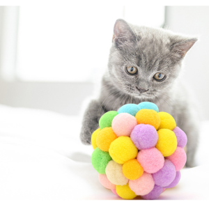 Cat Toy Cat Self-hey Rainbow Bell Interactive Ball