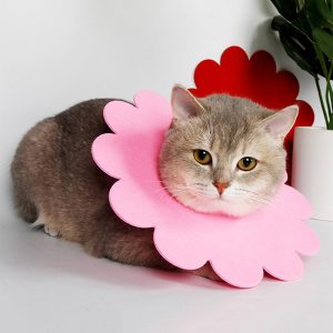 Cat Licking And Biting Sunflower Elizabethan Ring For Pet Felt Cloth Collar