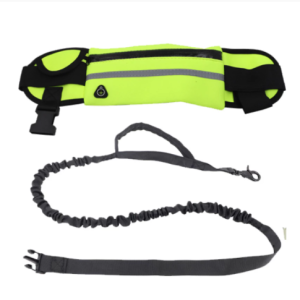 Cat Harness Explosion Proof Outdoor Running Leash