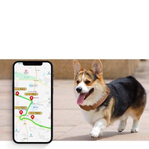 Anti-lost Device Cat Pet Collar Chain Leather Protective Cover