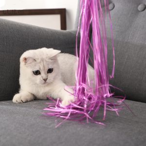 Teaser Wand Cat Toy Fairy Tricolor Bell Tassel