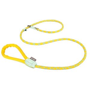 Pet Leash with Integrated Collar and Waste Bag Holder