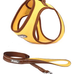 Pet Chest Harness Cat Leash