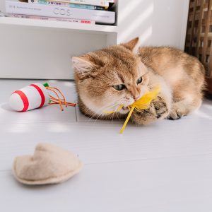 Plush Toy Cat Relieves Boredom From The Catnip Set Pom Funny Toy