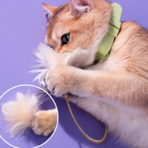 Collar Feather Funny Cat Stick With Bell Tied Neck Selfhealing  Bite Resistant Kitten Toy
