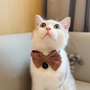 Collar Puppet Cat Bow Decoration