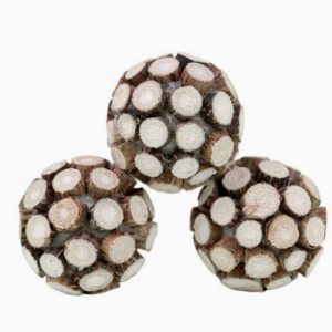 Cat Dental Chew Organic Catnip Toy