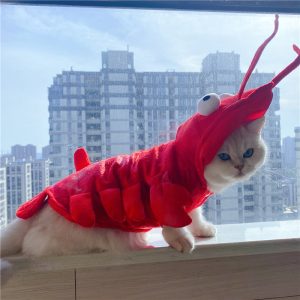 Halloween Cat Lobster Clothes Year Christmas