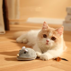 Teaser Wand Toy Electric Mouse Cat Stick