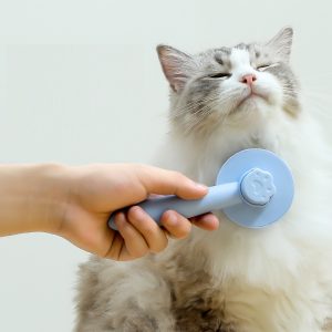 Cat Comb Floating Hair Comb Hair Removal Cat Petting Cleaning Long Hair Special Pet Cat Supplies
