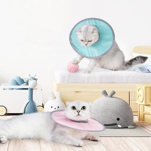 Cloth Circle Collar Cat