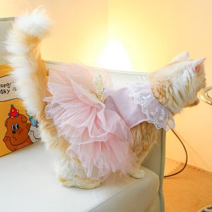 Clothing Cat Clothes Lace