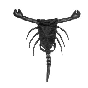 Halloween Scorpion Cat Costume for Parties
