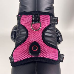 Cat LED Luminous Harness USB Charging