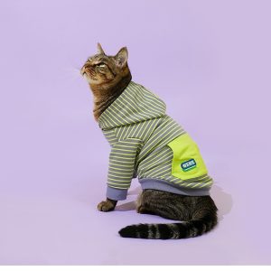 Cat Collar Warm Bottoming Shirt