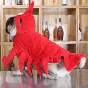 Cat Costume Halloween clothes red Aussie dragon