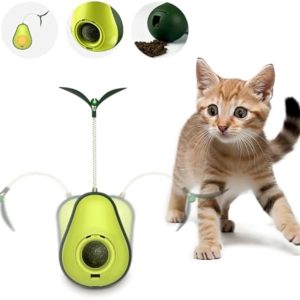 Catnip Feeder Cat Toy Cat Indoor Cat Self Groomer Cat Face Scraper Corner Massage Comb Scraper Self Groomer Cat Brush Cat Corner Funny Kitten Toys