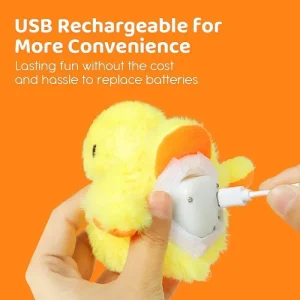 Washable Electric Flapping Wing Cat Toy with Catnip