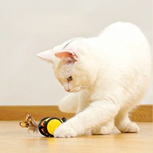 Electric Cat Car Toy, Random Moving Bee