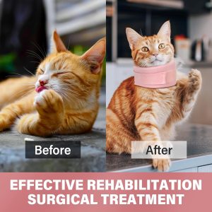 Cat Cone Collar Neck Brace Cat After Surgery Recover Collar Soft Cat Cone Collar Provide Powerful Support For The Neck