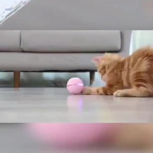 Electric Cat Toy Ball, LED Feather Wand USB