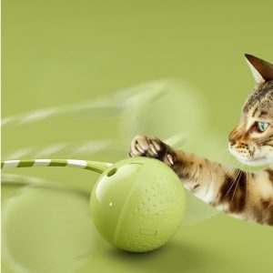 Interactive Electric Cat Ball, Motion Activated Toy