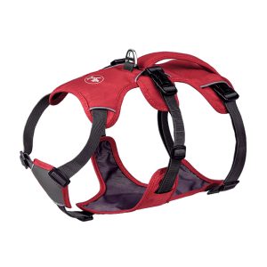 Large Anti Slip Pet Chest Harness In Traction Rope