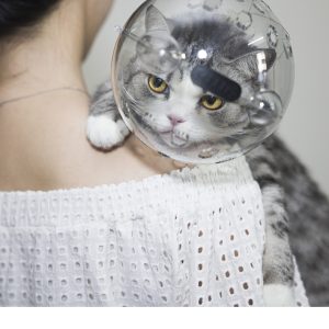 White Collar Anti-bite Bath Nail Scissors Anti-scratch Anti-licking Pet Artifact Cat Head Cover