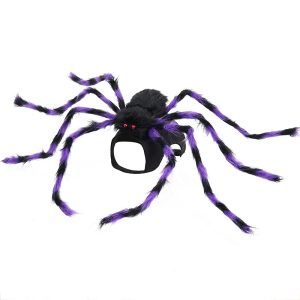 Cat Costume Halloween Clothes Big Spider