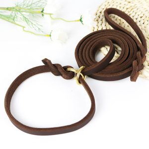 Cat Harness Integrated Leather Hand Holding Rope Training Leash