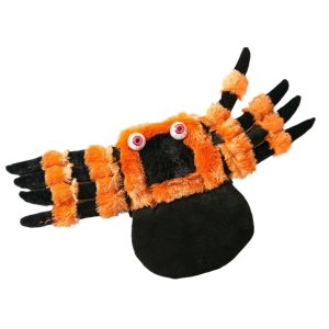 Cat Costume Clothes Halloween Spider