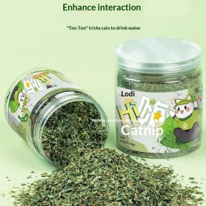 Catnip Cat Grass Leaves Treats Teaser Toy