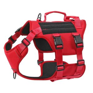 Pet Leash And Harness Pet Supplies