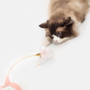 Fun Bite-Resistant Collar Cat Feather Toy
