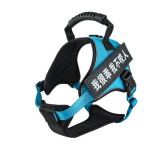 Cat Harness for Walking Cats